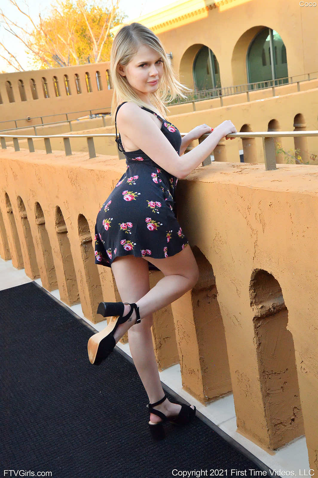 Coco In A Little Taller - Picture 13