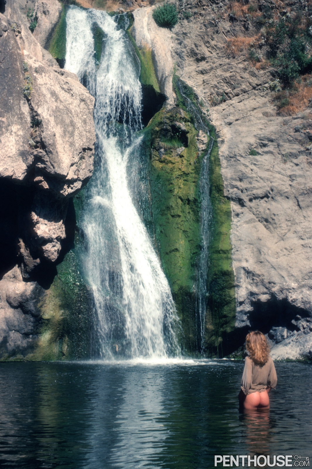 California Beauty Carol Ann Wilken  - Picture 09